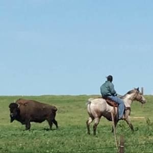 Meet your Posher, Luke